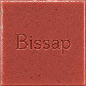 Savon Végétal Bissap