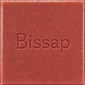 Savon Végétal Bissap
